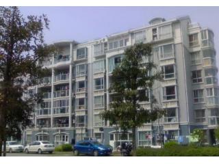 金沙嘉年华的照片