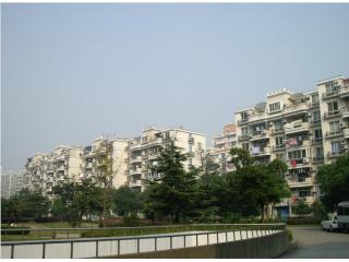 上海豪园的照片