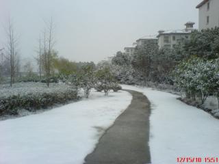 夏朵小城的照片